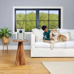 Воздухоочиститель Shark NeverChange5 Air Purifier Compact Pro Фото 5