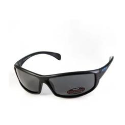 Солнцезащитные очки BluWater Florida-4 Polarized Серые Фото