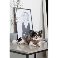 Жилет для животных Pet Fashion Hardy XL Фото 6