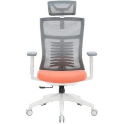 Офисное кресло OfficePro Balance OC550-W-DG-OR Фото