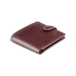 Кошелек Visconti TSC47 Riccardo з RFID Brown Фото 2