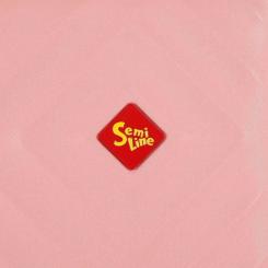 Чемодан Semi Line 24" (M) Rose (T5806-2) Фото 8