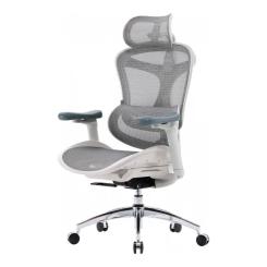 Офисное кресло Sihoo DORO C300L Mesh White Фото