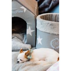 Ошейник для животных Chloe's Home Bahamas розовый М Фото 1