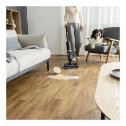 Пылесос Rowenta GZ5736E0 Фото 11