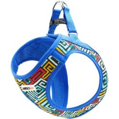 Шлей для собак MISOKO&CO синяя с узором S Фото