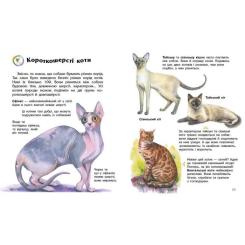 Книга Ранок Енциклопедія дошкільника. Коти - Юлія Каспарова Фото 1