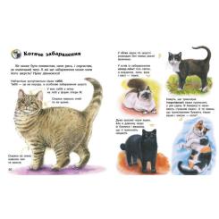 Книга Ранок Енциклопедія дошкільника. Коти - Юлія Каспарова Фото 3