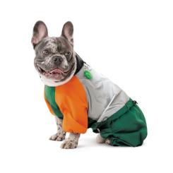 Дождевик для животных Pet Fashion Marlie S2 Фото 3