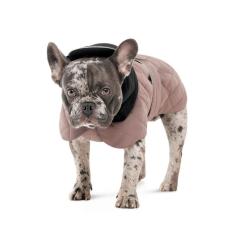 Попона для животных Pet Fashion Max S Фото 1