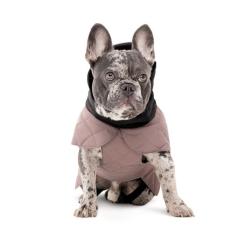 Попона для животных Pet Fashion Max S Фото 2