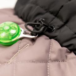 Попона для животных Pet Fashion Max ХS (такса) Фото 5