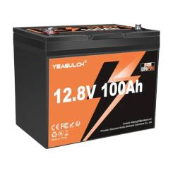 Батарея LiFePo4 YEAGULCH 12.8V 100Ah Mini Фото 1
