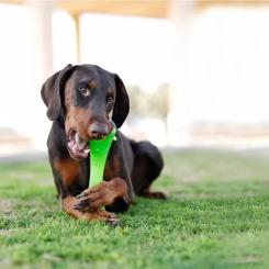 Игрушка для собак Bionic Гантель зеленая 22 см Фото 3