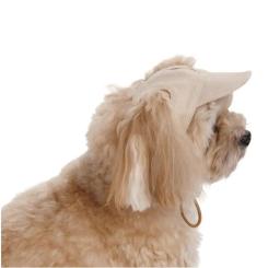 Кепка для животных Pet Fashion Glamor S Фото 3