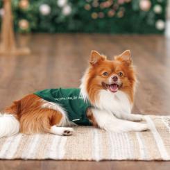 Борцовка для животных Pet Fashion Kale S зелена Фото 3
