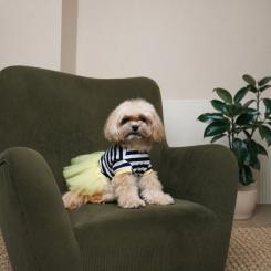 Платье для животных Pet Fashion Liana XS2 Фото 3