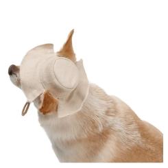 Кепка для животных Pet Fashion Gold M Фото 3