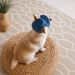 Кепка для животных Pet Fashion Stars XS Фото 5