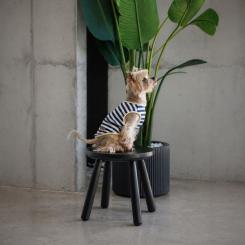 Футболка для животных Pet Fashion Tropic XS2 Фото 4