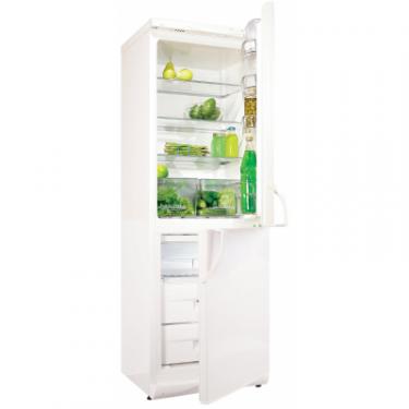 Холодильник Snaige RF310-1803AA Фото