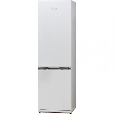 Холодильник Snaige RF39SM-S10021 Фото