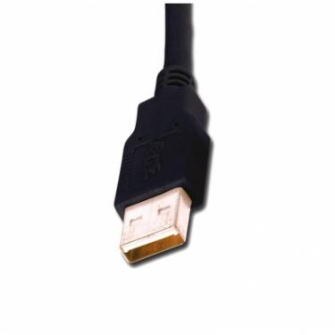 Дата кабель Digitus USB 2.0 AM/AF 3.0m Фото 1