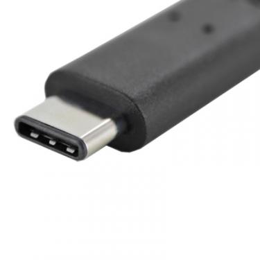 Переходник Digitus Type-C to USB AF 0.15m Фото 3