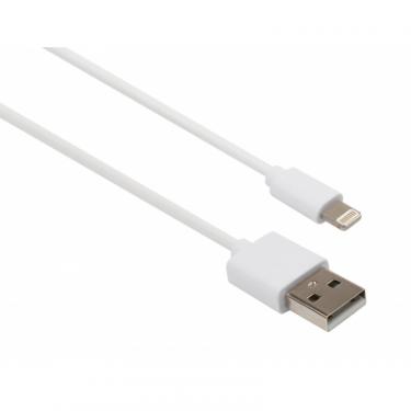 Дата кабель Vinga USB 2.0 AM to Lightning PVC 1m white Фото