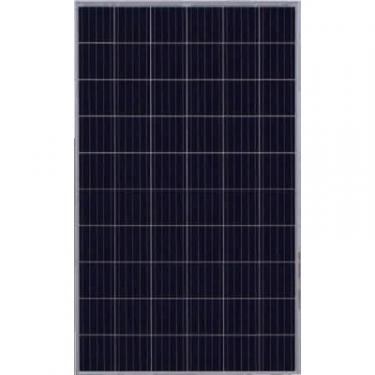 Солнечная панель JASolar 275W, Poly, 1000V Фото