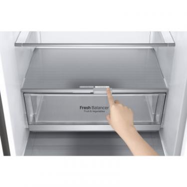 Холодильник LG GW-B509SMDZ Фото 10