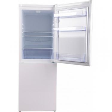 Холодильник Beko RCSA240K20W Фото 3