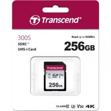Карта памяти Transcend 256GB SDXC class 10 UHS-I Фото 1