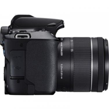 Цифровой фотоаппарат Canon EOS 250D kit 18-55 IS STM Black Фото 7