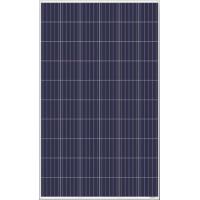 Солнечная панель Amerisolar 285W 5BB, Poly, 1000V Фото