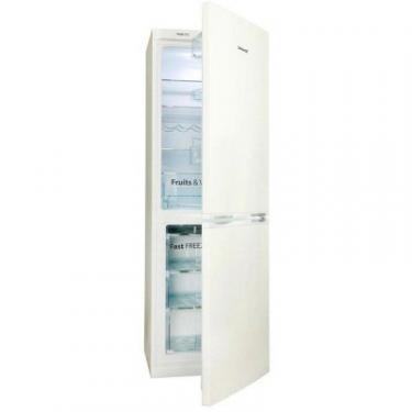 Холодильник Snaige RF53SG-S500210 Фото
