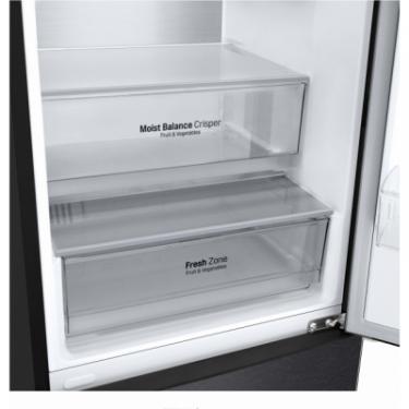 Холодильник LG GA-B509CBTM Фото 11