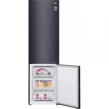 Холодильник LG GA-B509CBTM Фото 5