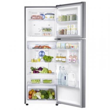 Холодильник Samsung RT32K5000S9/UA Фото 4