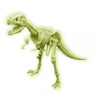 Набор для экспериментов 4М Светящийся скелет тираннозавра Фото 1