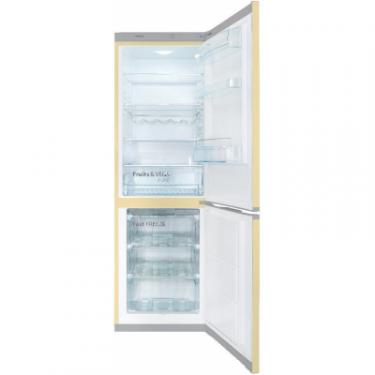 Холодильник Snaige RF56SM-S5DP2F Фото 4