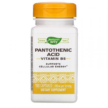 Витамин Nature's Way Пантотеновая кислота, Pantothenic Acid, 250 мг, 1 Фото