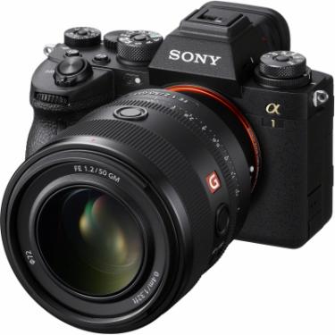 Объектив Sony 50mm f/1.2 GM для NEX FF Фото 4