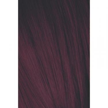 Краска для волос Schwarzkopf Professional Igora Royal 4-99 60 мл Фото 1