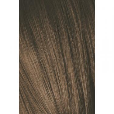 Краска для волос Schwarzkopf Professional Igora Royal 6-4 60 мл Фото 1