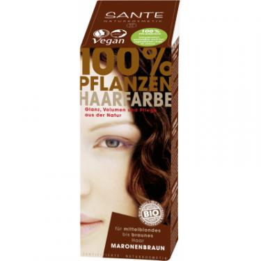 Краска для волос Sante растительная Каштан/Chestnut Brown 100 г Фото
