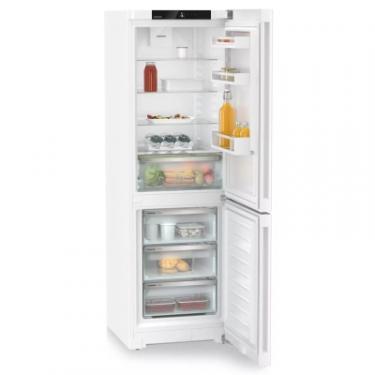 Холодильник Liebherr CNf 5203 Фото