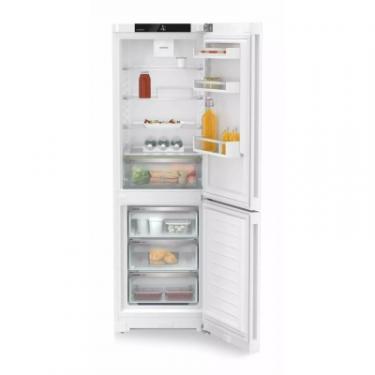 Холодильник Liebherr CNf 5203 Фото 2