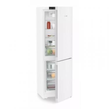 Холодильник Liebherr CNf 5203 Фото 4