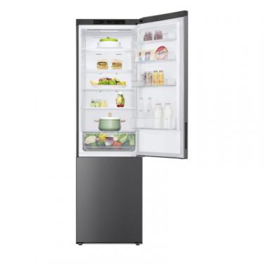 Холодильник LG GW-B509CLZM Фото 6